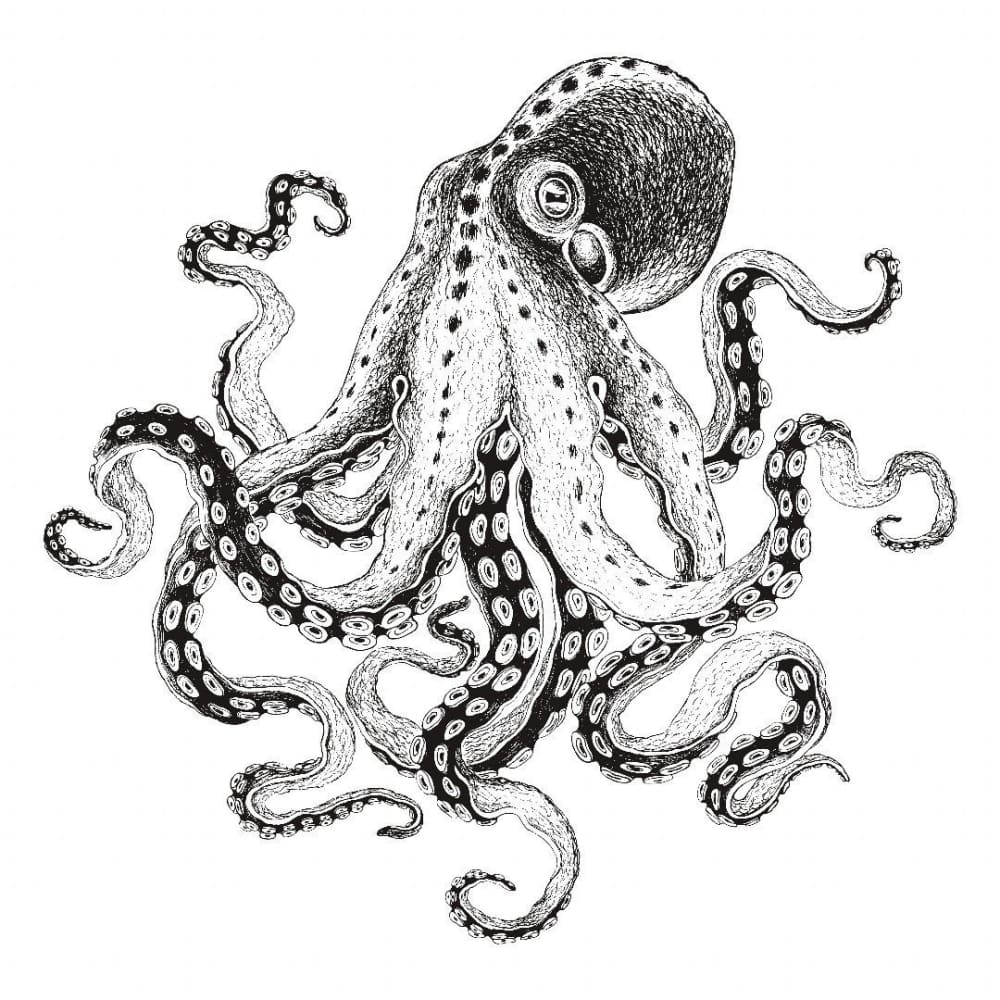 Octopus Temporary Tattoo